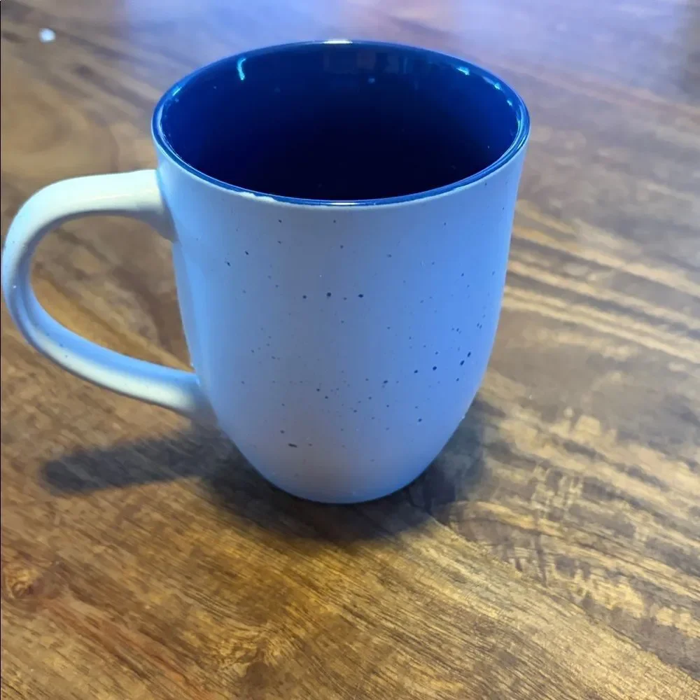 The Memory Company Florida Gators mug